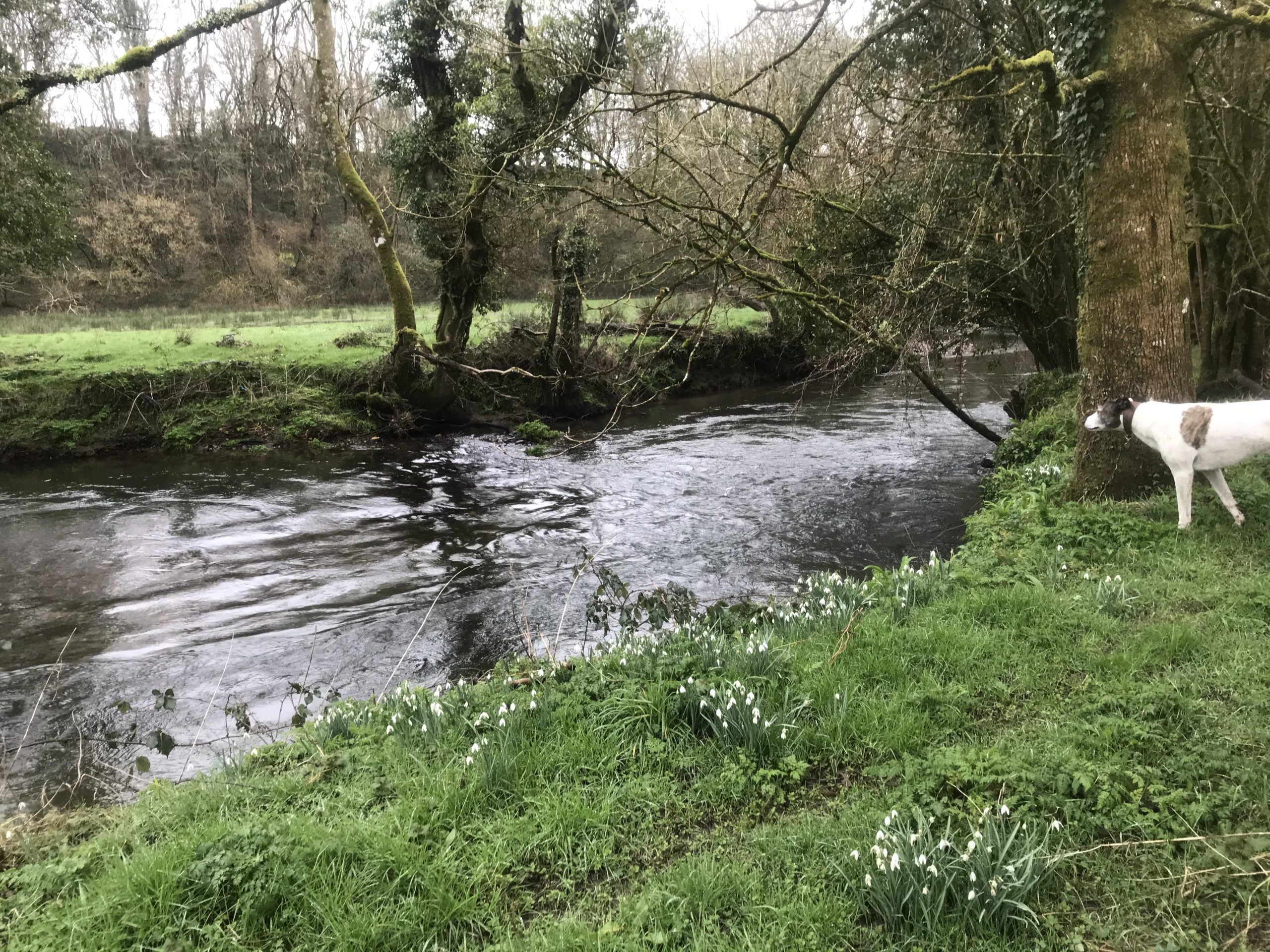 Exploring the river Tâf at Davids Organic Farm